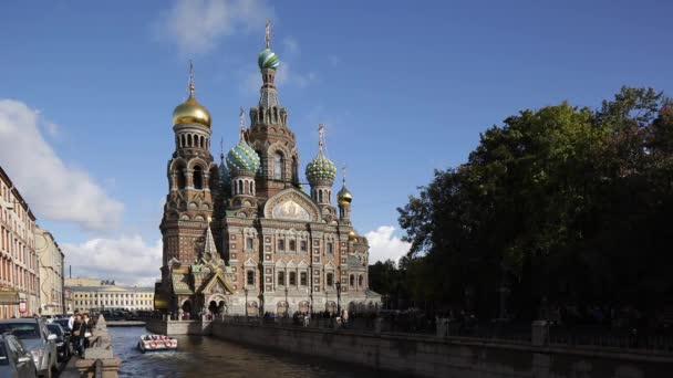 Cupole della Chiesa del Salvatore, San Pietroburgo — Video Stock