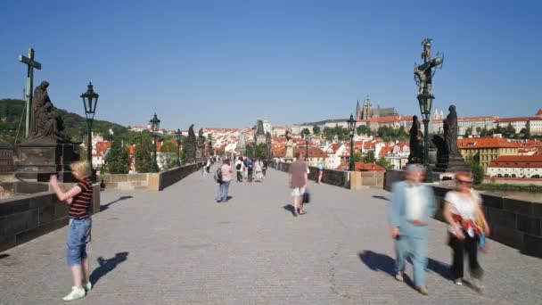 Charles Bridge over the River Vitava, Prague — Stock Video