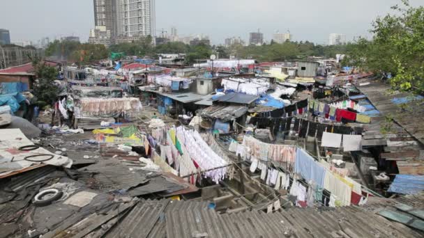 Waschen, dhobi ghats, mumbai — Stockvideo