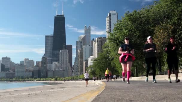 Skyline cidade de Chicago — Vídeo de Stock