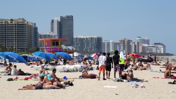 Art Deco Style Chata záchranné stráže na Miami Beach — Stock video