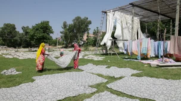 Nově obarvené textilie se zavěsil na suché — Stock video