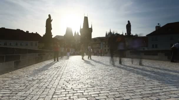 Karlsbrücke über die Vitava, Prag — Stockvideo