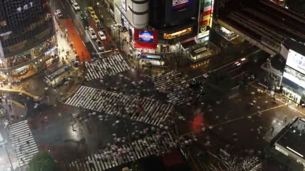 Pessoas que atravessam Shibuyas distrito — Vídeo de Stock