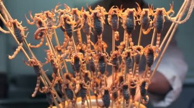Scorpians ve deniz yıldızı satan satıcı