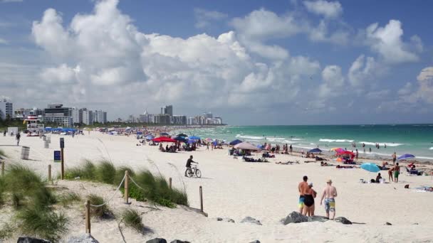 Ludzi, relaks na plaży w Miami — Wideo stockowe
