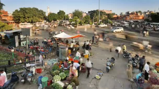 Vie de rue dans la ville de Jaipur — Video