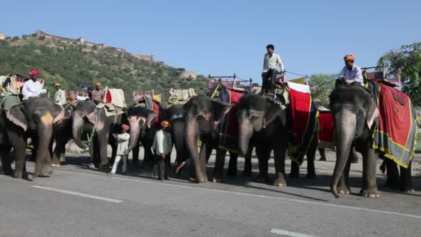 Ελέφαντες που περιμένουν να μεταφέρουν τουρίστες — Αρχείο Βίντεο