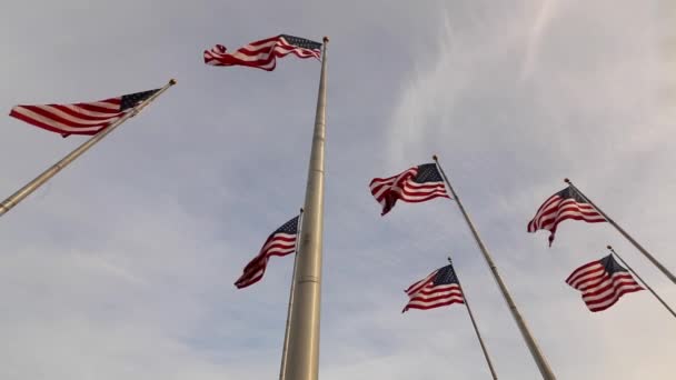 Liberty State Park med flaggor — Stockvideo