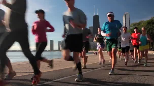 Skyline della città di Chicago — Video Stock