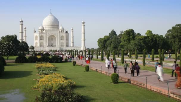 Taj Mahal, India, Asia — Stockvideo