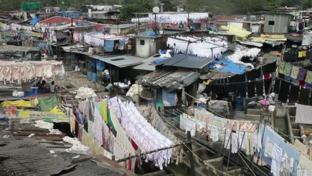 Wassen, Dhobi Ghats, Mumbai — Stockvideo