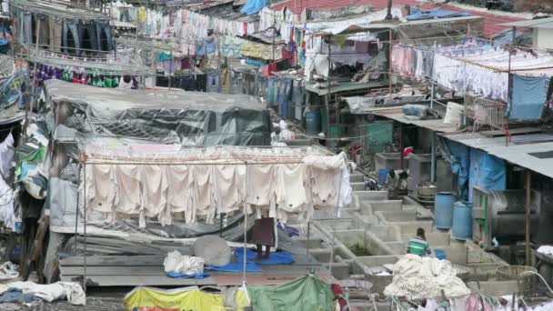 Yıkama, Dhobi Ghats, Mumbai — Stok video