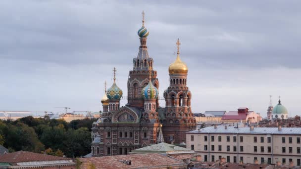 Cúpulas de la Iglesia del Salvador, San Petersburgo — Vídeos de Stock