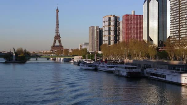 Senna e Torre Eiffel, Parigi — Video Stock