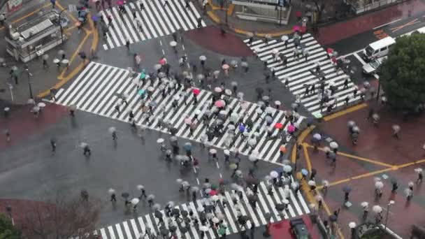 Pessoas que atravessam passarelas no centro de Tóquio — Vídeo de Stock