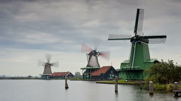 Molinos de viento en Zaanse Schans — Vídeos de Stock