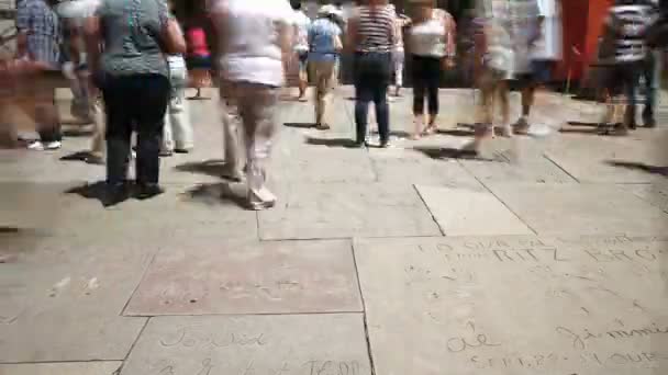 Hollywood Walk of Fame, Los Angeles — Stockvideo