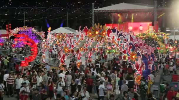 Décorations de rivière Hongbao pour le Nouvel An chinois — Video