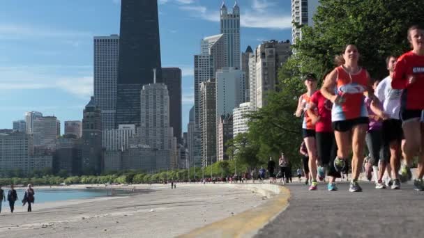 City skyline of  Chicago — Stock Video