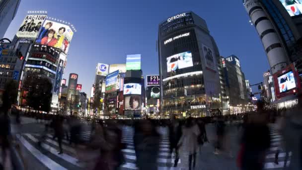 Fußgänger und Verkehr über Shibuya-Kreuzung — Stockvideo
