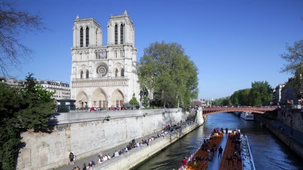 Catedral de Notre Dame, París — Vídeo de stock