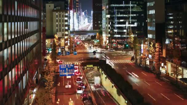 Chuo-dori street in Tokyo — Stock Video