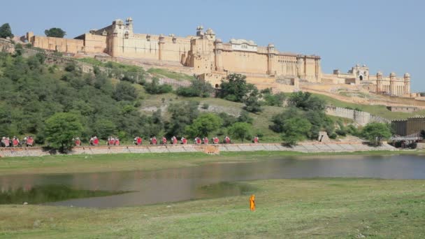 Elefanti che portano i turisti al Forte di Ambra — Video Stock