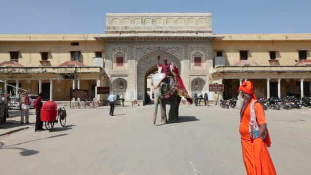 Ceremoniële versierde olifant buiten de Hawa Mahal — Stockvideo