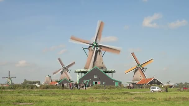Molinos de viento en Zaanse Schans — Vídeo de stock