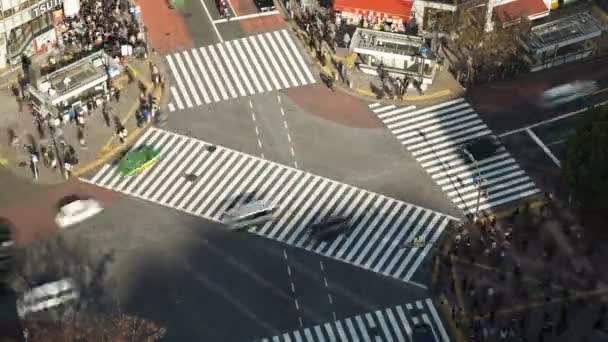 Fußgänger und Verkehr über Shibuya-Kreuzung — Stockvideo