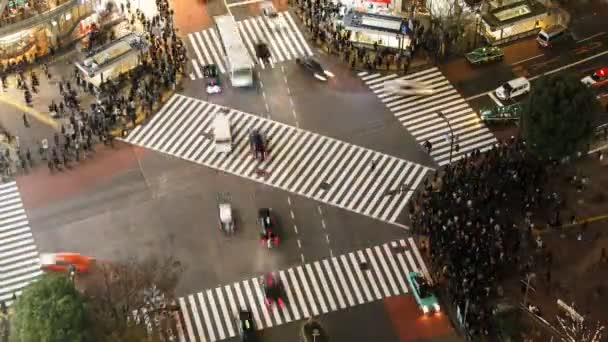 Chodci a doprava přes přejezd Shibuya — Stock video