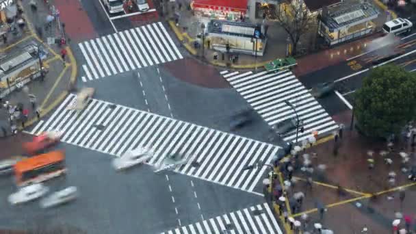 Menschen überqueren Shibuyas Distrikt — Stockvideo