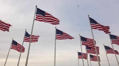 Özgürlük State Park bayraklı