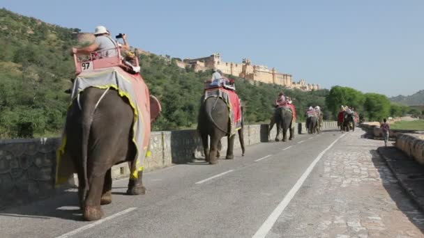 Elefantes llevando turistas a Amber Fort — Vídeos de Stock