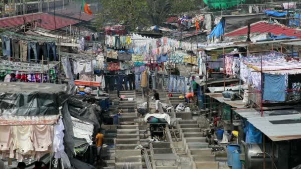 Lavado, Dhobi Ghats, Mumbai — Vídeo de stock