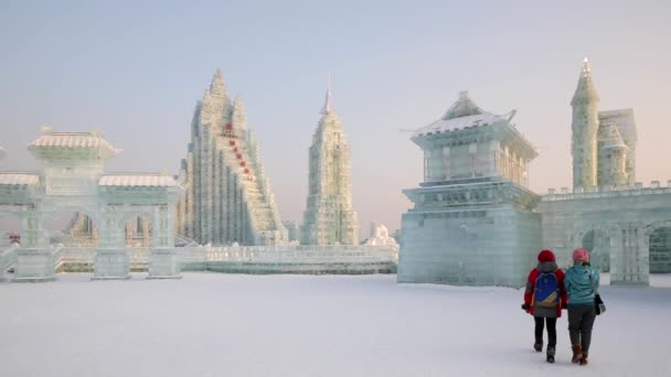 Esculturas de hielo iluminadas en el Hielo Harbin — Vídeos de Stock