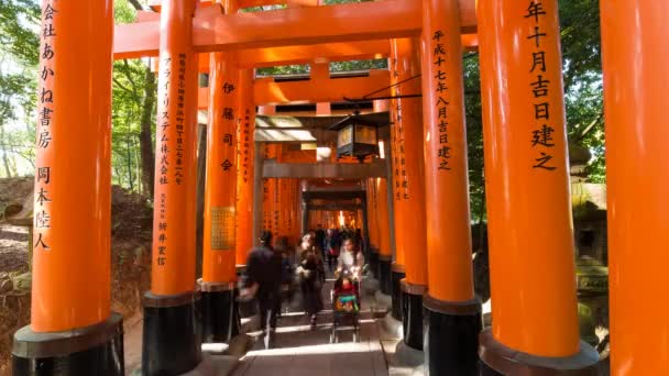 Torii poorten van Fushimi Inari schrijn — Stockvideo