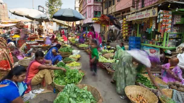 Area di mercato, Udaipur — Video Stock