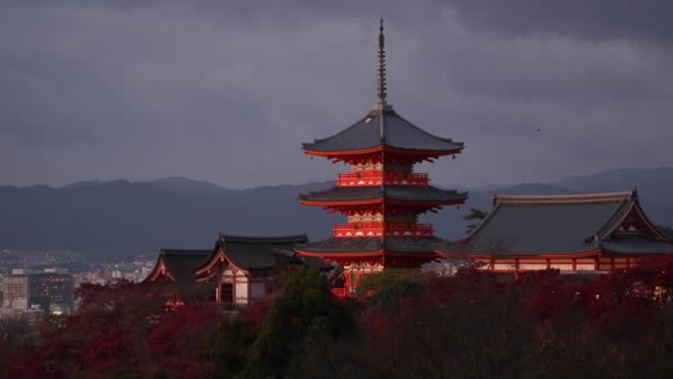 日本清水寺 — 图库视频影像