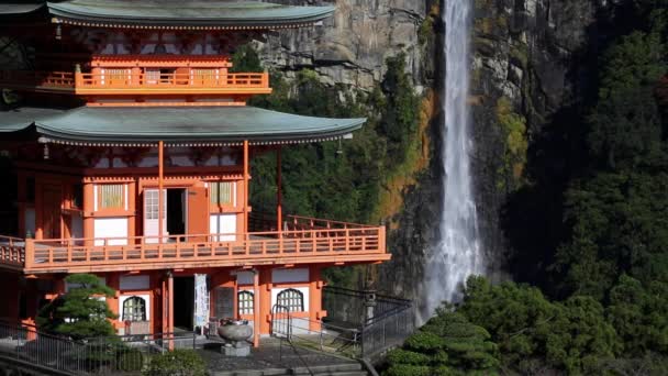 Pagoda di Nachisan Seiganto-ji a Sacrario di Kumano Nachi — Video Stock