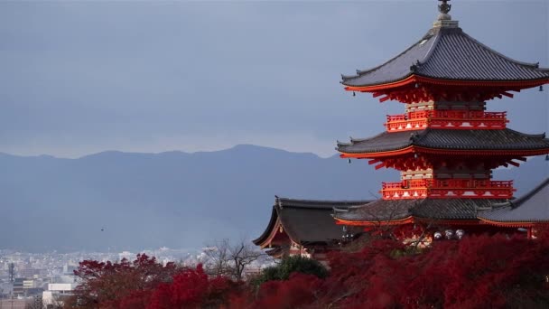 Kiyomizu-dera temple, Японія — стокове відео