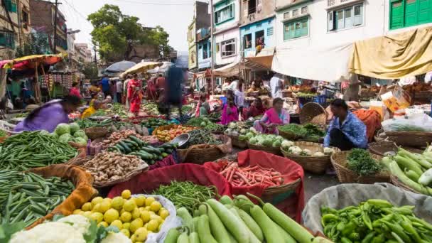 Obszar rynku, Udaipur — Wideo stockowe