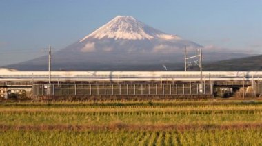  Shinkansen hızlı tren pirinç tarlaları ile geçen 