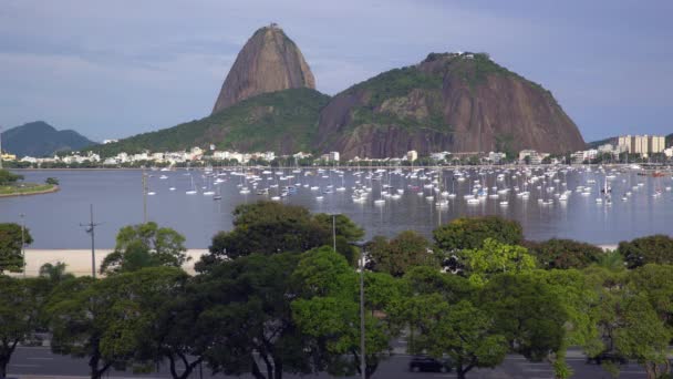 Sugar Loaf Mountain i Rio de Janeiro — Stockvideo