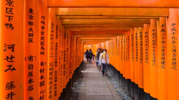 Portas de Torii de Santuário de Fushimi Inari — Vídeo de Stock
