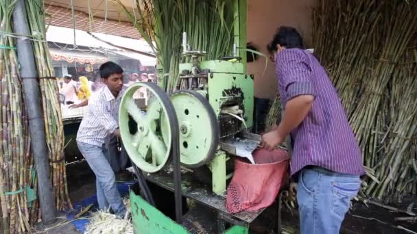 Pressa per canna da zucchero che estrae succo di canna fresco — Video Stock