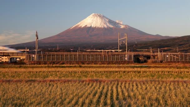 Tren Shinkansen Bullet pasando por campos de arroz — Vídeo de stock