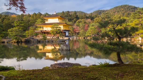 Kinkaku-ji lub Złoty Pawilon, Japonia — Wideo stockowe