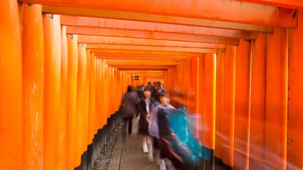 Torii poorten van Fushimi Inari schrijn — Stockvideo